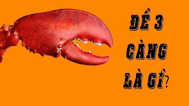 Giải mã thông tin về đề 3 càng